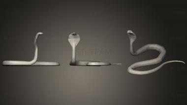 3D model SNAKE LOWPOLY (STL)